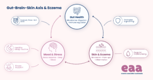 Gut-brain-skin axis and eczema diagram showing the connections between gut health, mood, stress and skin